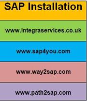  sap install,  install sap,  sap installation and sap remote access
