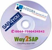 SAP Solution Manager Installation and Training | SAP Forum