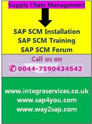 SAP SCM 7.0 Installation,  SAP SCM Forum and SAP SCM Training