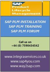 SAP PLM Training and PLM Installation