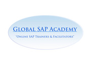 Global SAP Academy offers training and services