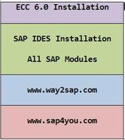 ECC 6.0 IDES Installation | SAP-Installation | SAP Installation in UK