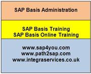 Learn SAP BASIS | SAP Basis Training | SAP Basis Online Training 