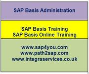 SAP BASIS Online Training | SAP Basis Training | Basis Online Training