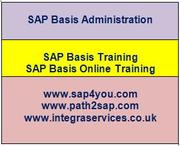  SAP BASIS Online Training | SAP Security Training 