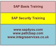  SAP BASIS Training in London | SAP Security Training | SAP Basis 
