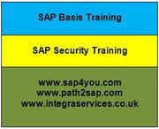  SAP BASIS Training in UK | SAP Security Training | SAP Basis Training