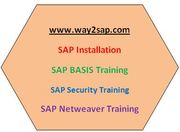 Best SAP Training | SAP BASIS | SAP SECURITIES | SAP NETWEAVER