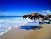 Feel heavenly pleasure in beaches of Goa