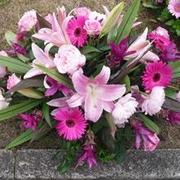 Buy beautiful Posy flowers from flowers 4 funeral