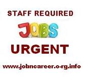 Staff wanted urgent to start this Week
