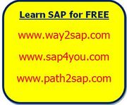 free sap ides installation,  free sap installation help in London