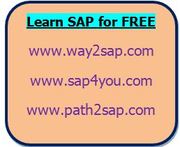 sap basis training,  sap basis administration,  sap basis onlinetraining