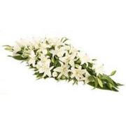 Buy Elegant Lilies Spray from flowers 4 funeral