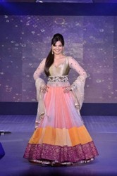 Deepshikha Style Lehenga Choli