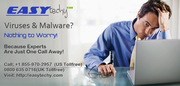 Easytechy - Computer Virus Removal Service Provider