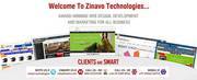 Create Corporate Websites in Suitable Price at Zinavo Technologies 