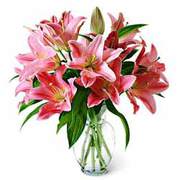 Send Flowers to Bangalore - Flowers Delivery in Bangalore