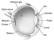 cataract surgery - retinasurgeon.uk.com