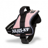 The Best Dog Harnesses UK