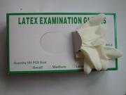 Latex Examination Gloves 