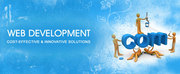 Check Best Webiste Development Company