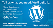 Hire a top WordPress developers now 