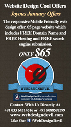 Low Cost Website Design $65 Hosting With Free Domain