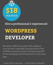 Hire wordpress developer