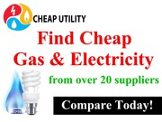 Find the Cheapest Gas and Electric Energy Prices For You Business