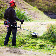 The Best Brushcutters You Can Buy online