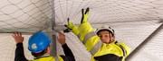 Pigeon Netting Installation