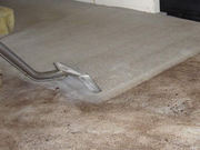 Professional carpet cleaning in London - MVIR Cleaning