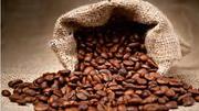 Coffee Beans Delivered: Coffee beans | Buy coffee online