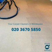 Affordable carpet cleaning in Wimbledon