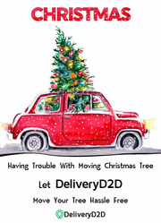 Special Delivery | Christmas Tree Delivery