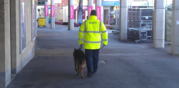 24h Mobile Dog Patrols London