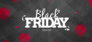 Black Friday Deals and Discount Code
