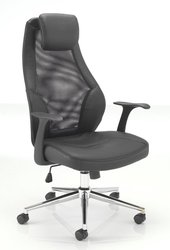Mesh Back Ergonomic Chair