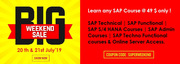 Super Sale: Learn SAP Course @ 49 $ only ! 