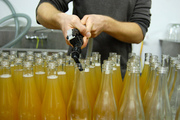 Excellent business opportunity in healthy soft drink production