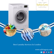 Hire Our Sylvia Grey for Best Laundry Service in London