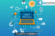 Digital Marketing  Company