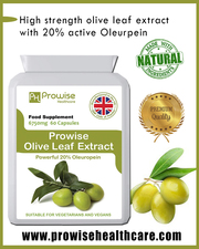 Olive Leaf Extract Fertility