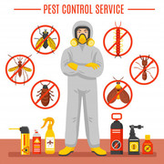 The Most Effective Pest Control Experts in West Sussex