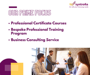 Leverage your business with bespoke training programs from Syntrofia  
