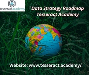 Data Strategy Roadmap- Tesseract Academy