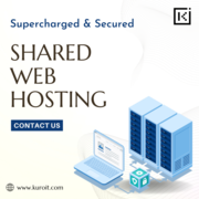 Why You Should Go With Shared Web Hosting For Your Website