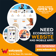 Web Design and Development Services | WEB NEEDS