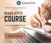 Mastering the Art of Financial Management:The Comprehensive CFO Course